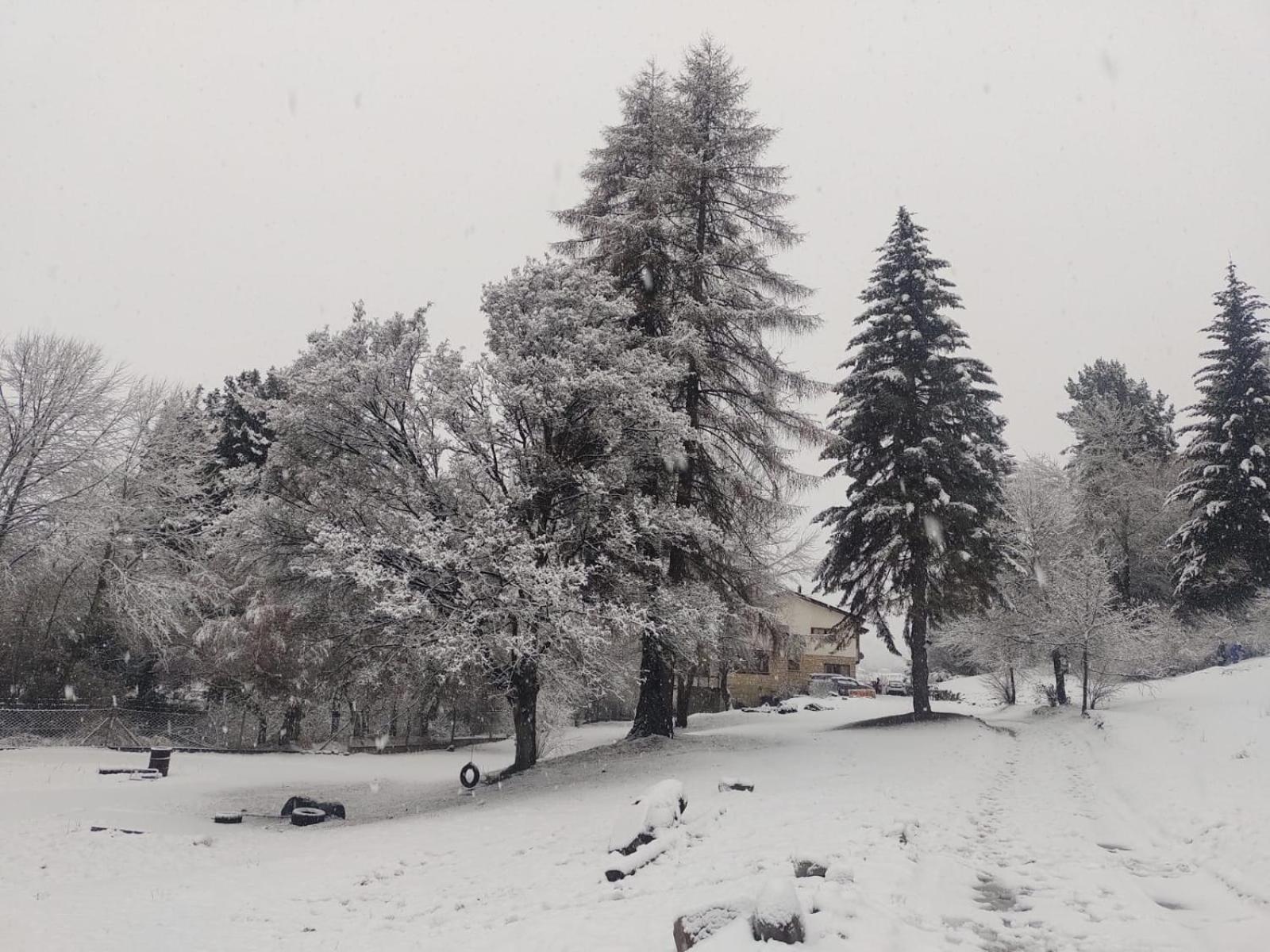 Posada Del Nireco San Carlos de Bariloche Ngoại thất bức ảnh