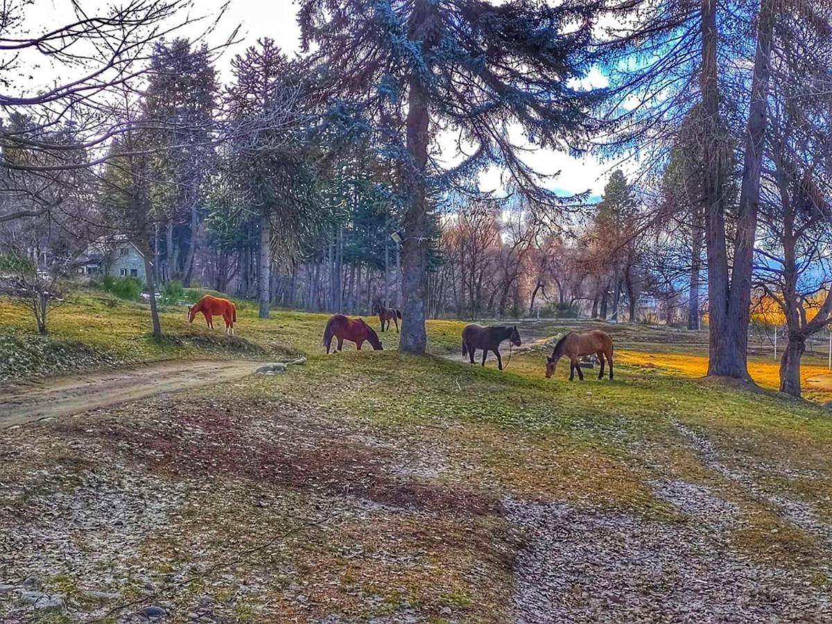 Posada Del Nireco San Carlos de Bariloche Ngoại thất bức ảnh