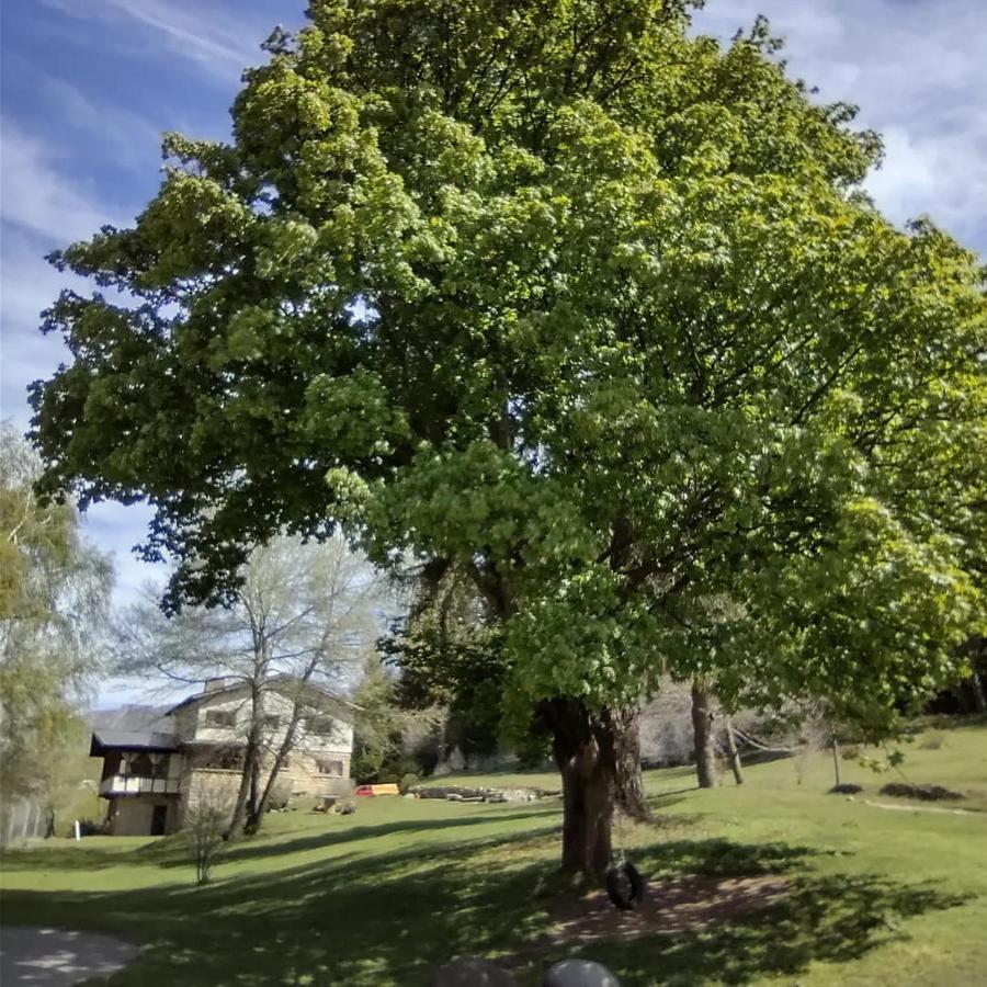 Posada Del Nireco San Carlos de Bariloche Ngoại thất bức ảnh