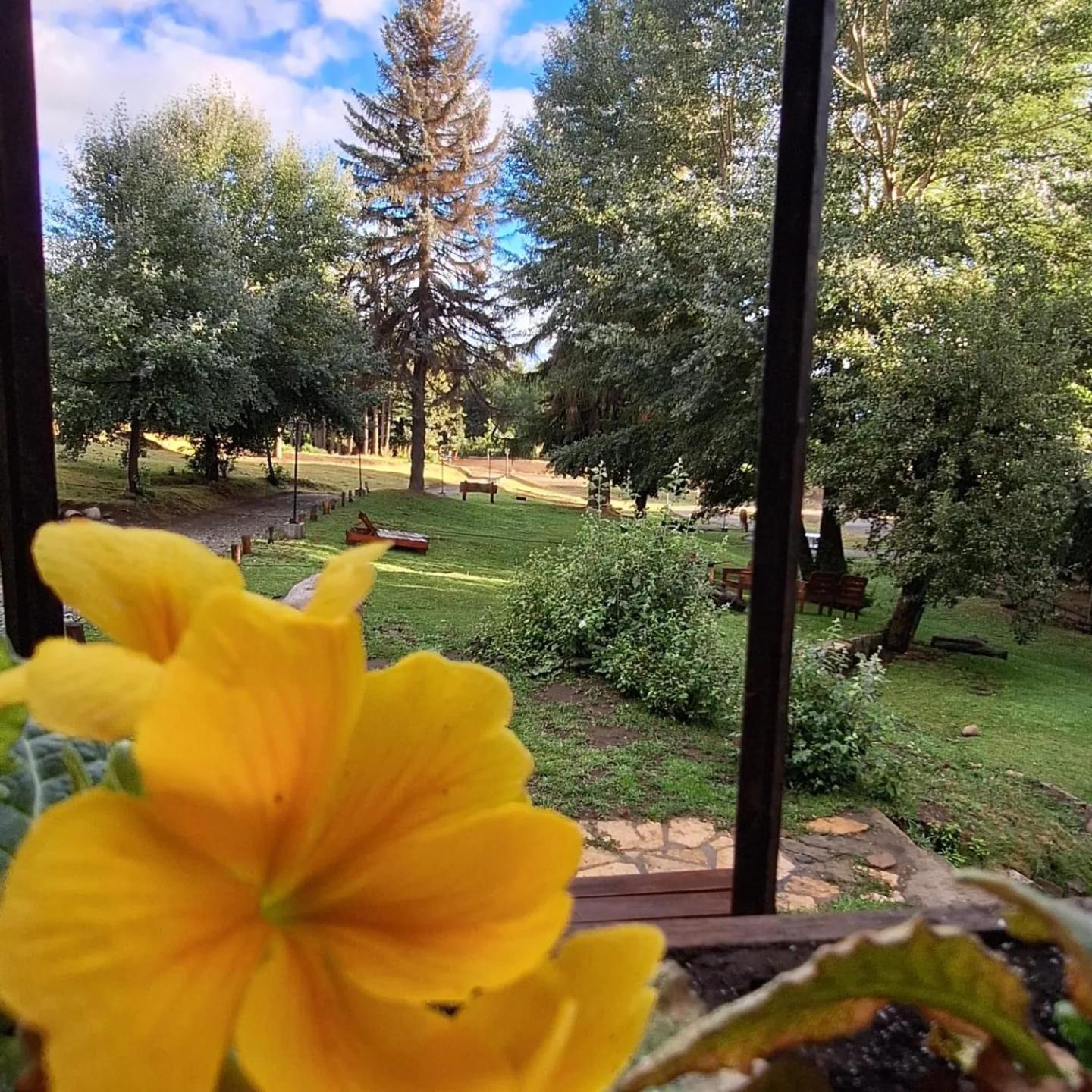 Posada Del Nireco San Carlos de Bariloche Ngoại thất bức ảnh