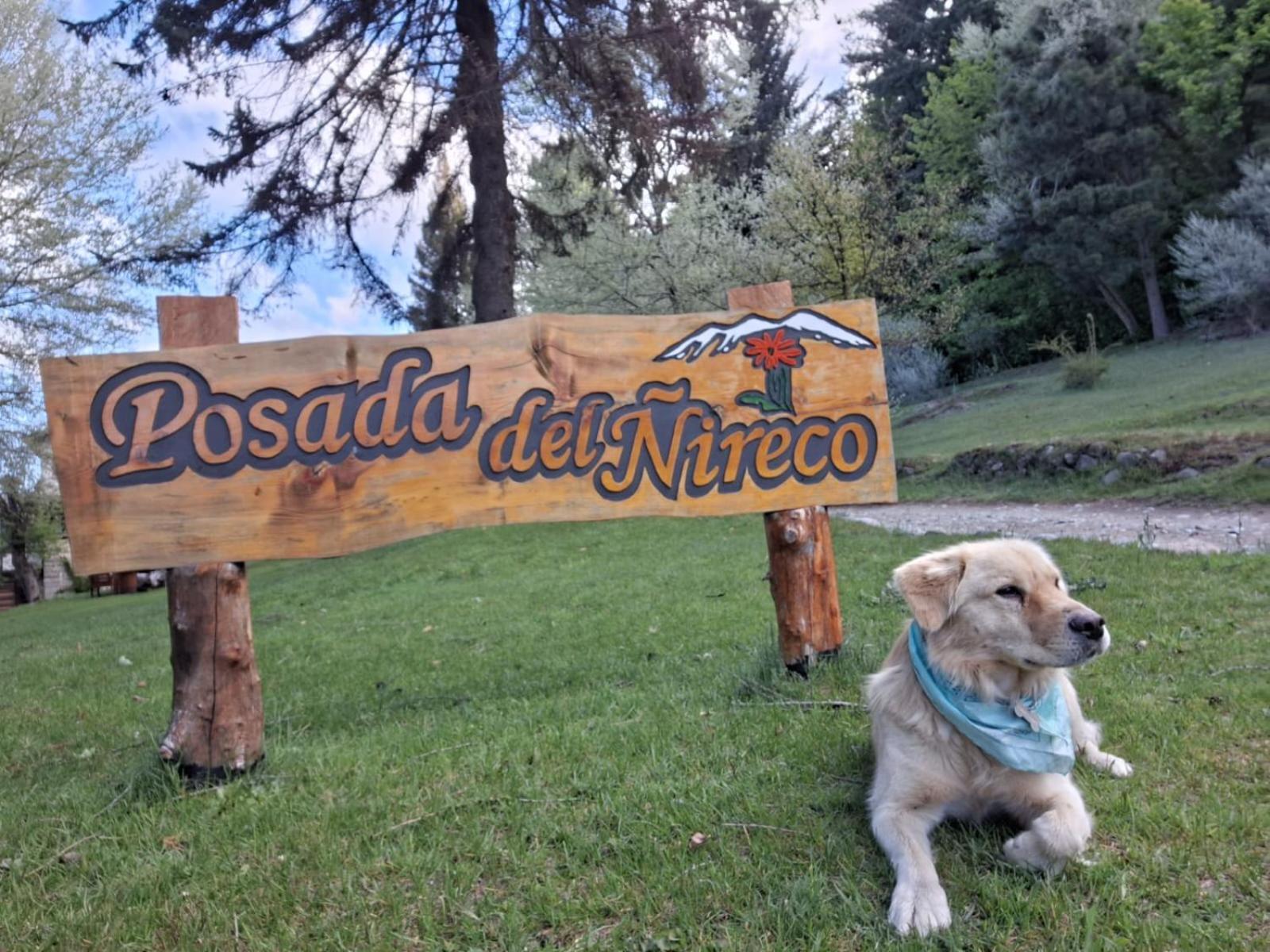 Posada Del Nireco San Carlos de Bariloche Ngoại thất bức ảnh