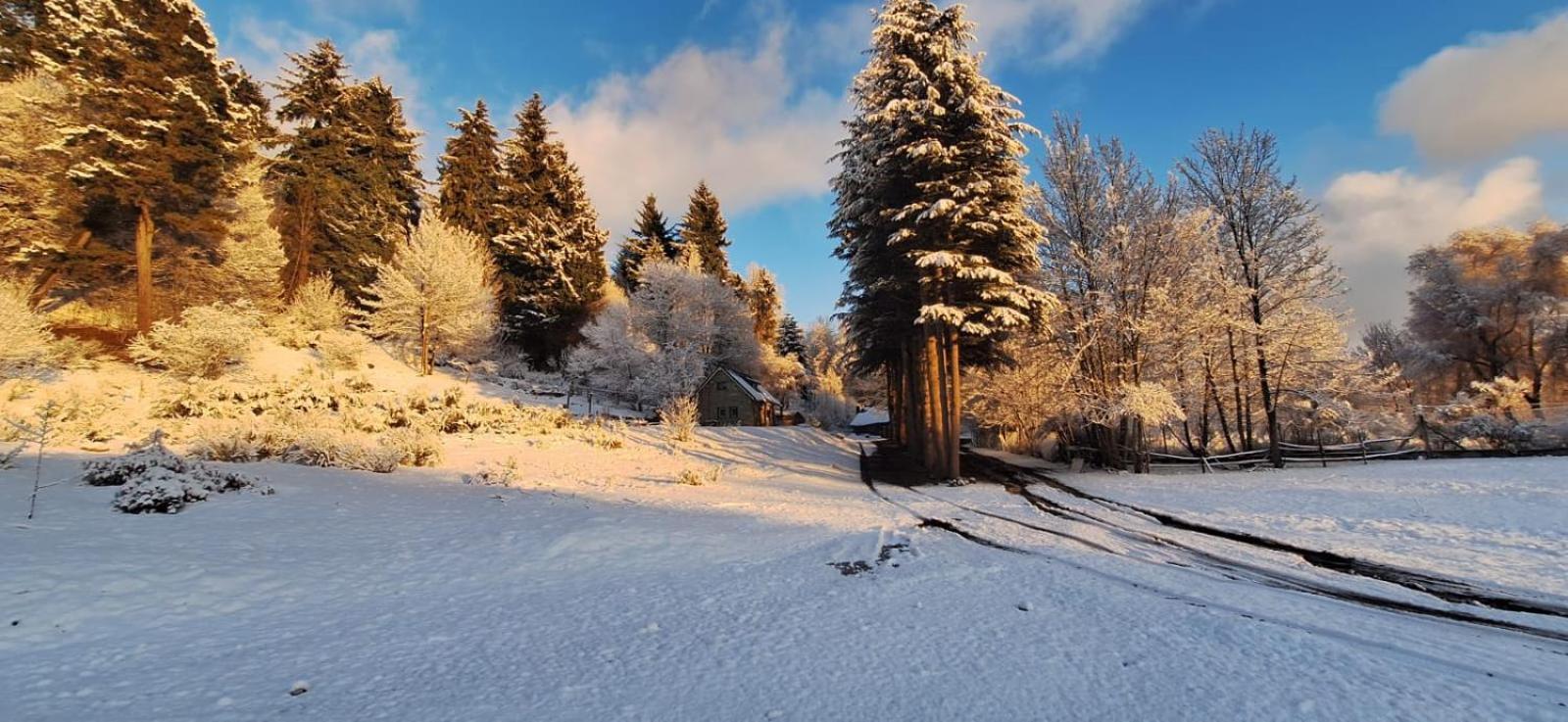 Posada Del Nireco San Carlos de Bariloche Ngoại thất bức ảnh